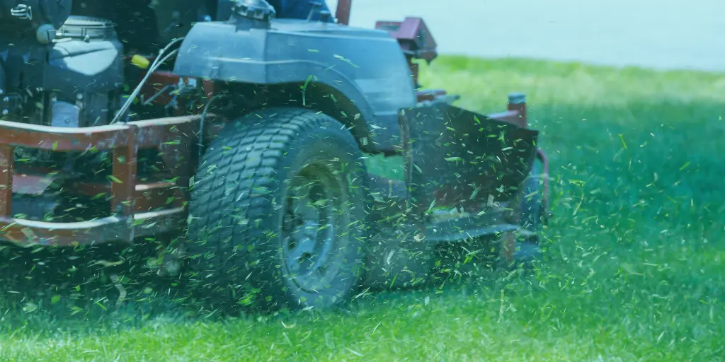 Best Lawn Mowing Service Tasmania – updated TAS-first guide