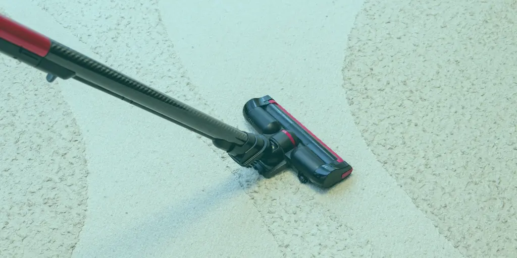 NDIS carpet cleaning services in Tasmania supporting independent living