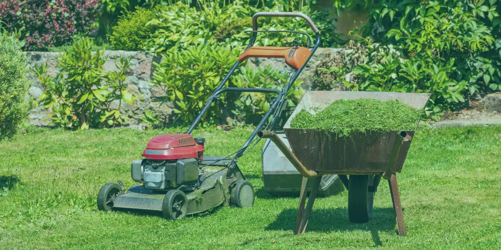 NDIS outdoor maintenance services in Tasmania improving safety and accessibility around a home