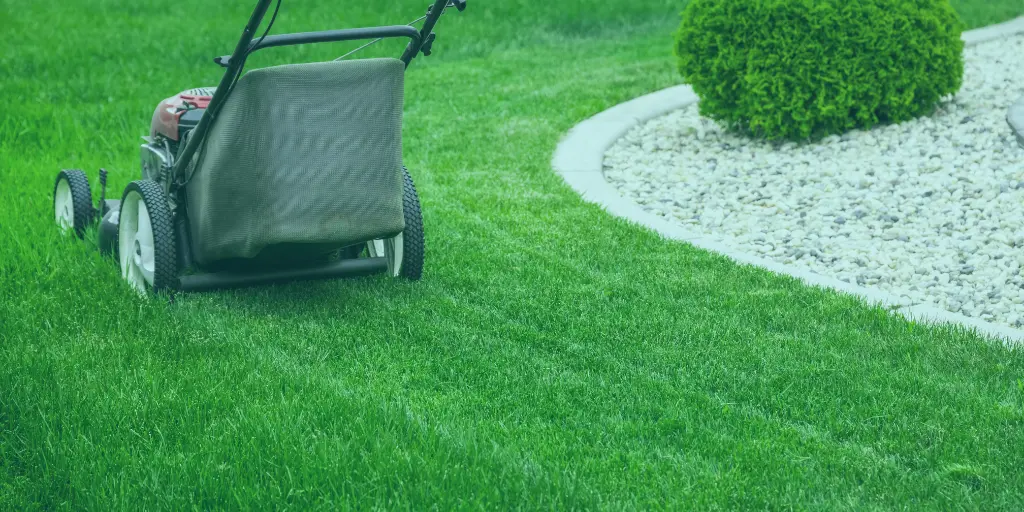 NDIS-yard-tidy-up-in-Tasmania-clearing-debris-and-improving-outdoor-safety-and-access